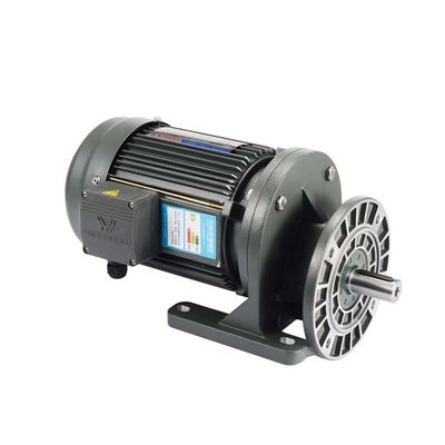 Three Phase IP54 Speed Reducer Motor For Cattle Farm