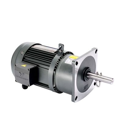 Reduzierer-Motorwelle angebrachter Gang-Motor der Geschwindigkeits-400W für Hühnerzucht-Bauernhof