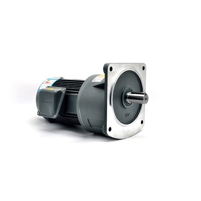 Vertikaler Gang-Bewegungshohe Tragfähigkeit IP55 60 U/min Wechselstrommotor-50Hz
