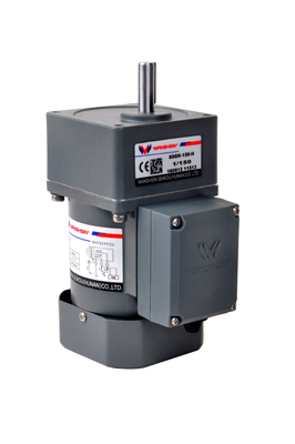 Wechselstrom 6 - Vertrags-Getriebemotor 250W 220V für Förderband