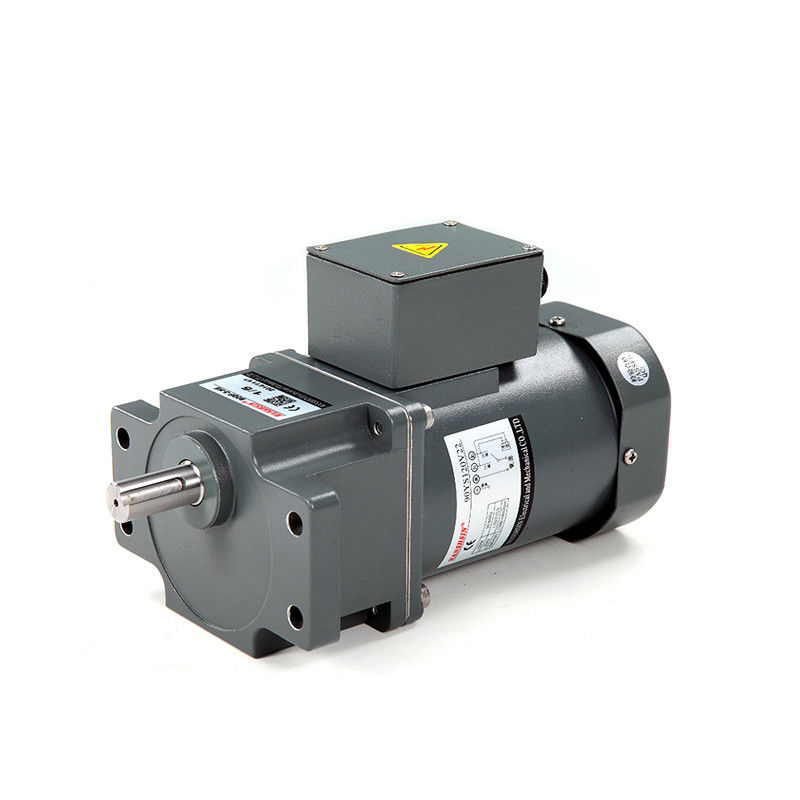 Niedriger kleiner Drehmomenterzeuger der Ermüdungs-0.11Nm 250 Watt-Gang-Motor