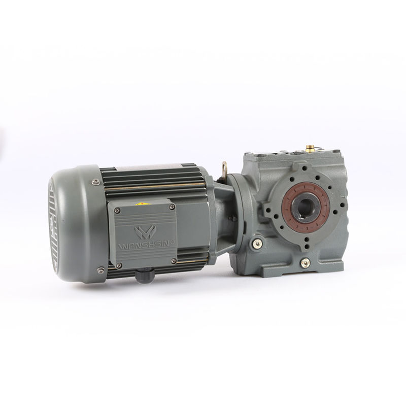 Fuß angebrachter schraubenartiger Gang-Motor des Wurm-50Hz für Quirl-Antriebe