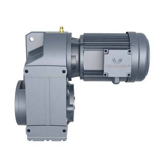 Verhältnis1:3 50Hz Ähnlichkeits-Wellen-schraubenartiger Gang-Motor für Quirl-Antriebe